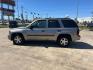 2005 GRAY /gray Chevrolet TrailBlazer LS 2WD (1GNDS13S052) with an 4.2L L6 DOHC 24V engine, 4-Speed Automatic Overdrive transmission, located at 14700 Tomball Parkway 249, Houston, TX, 77086, (281) 444-2200, 29.928619, -95.504074 - Photo#3